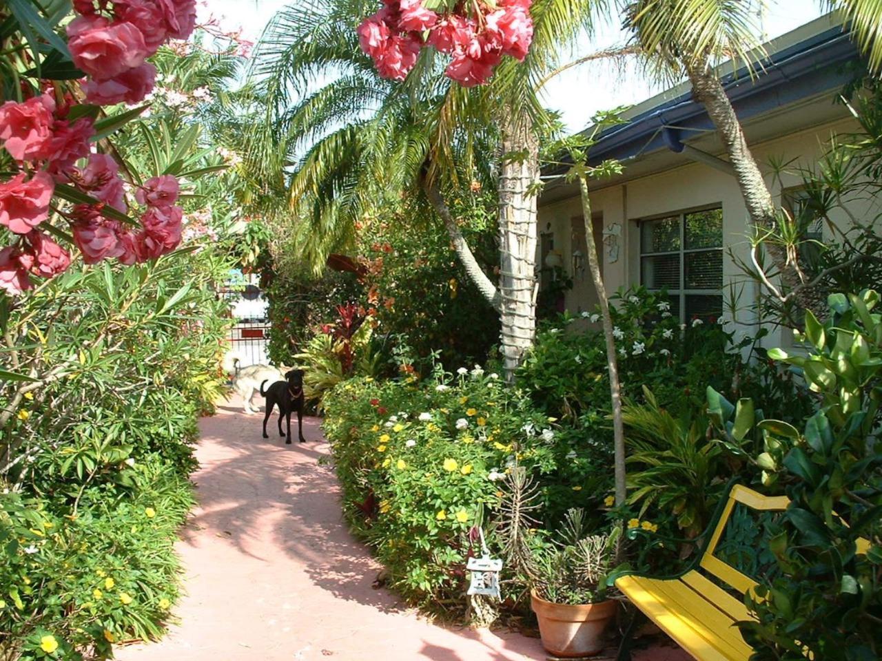 Affordable Beach Condos - One Bedroom Dlx Condos St. Pete Beach Buitenkant foto