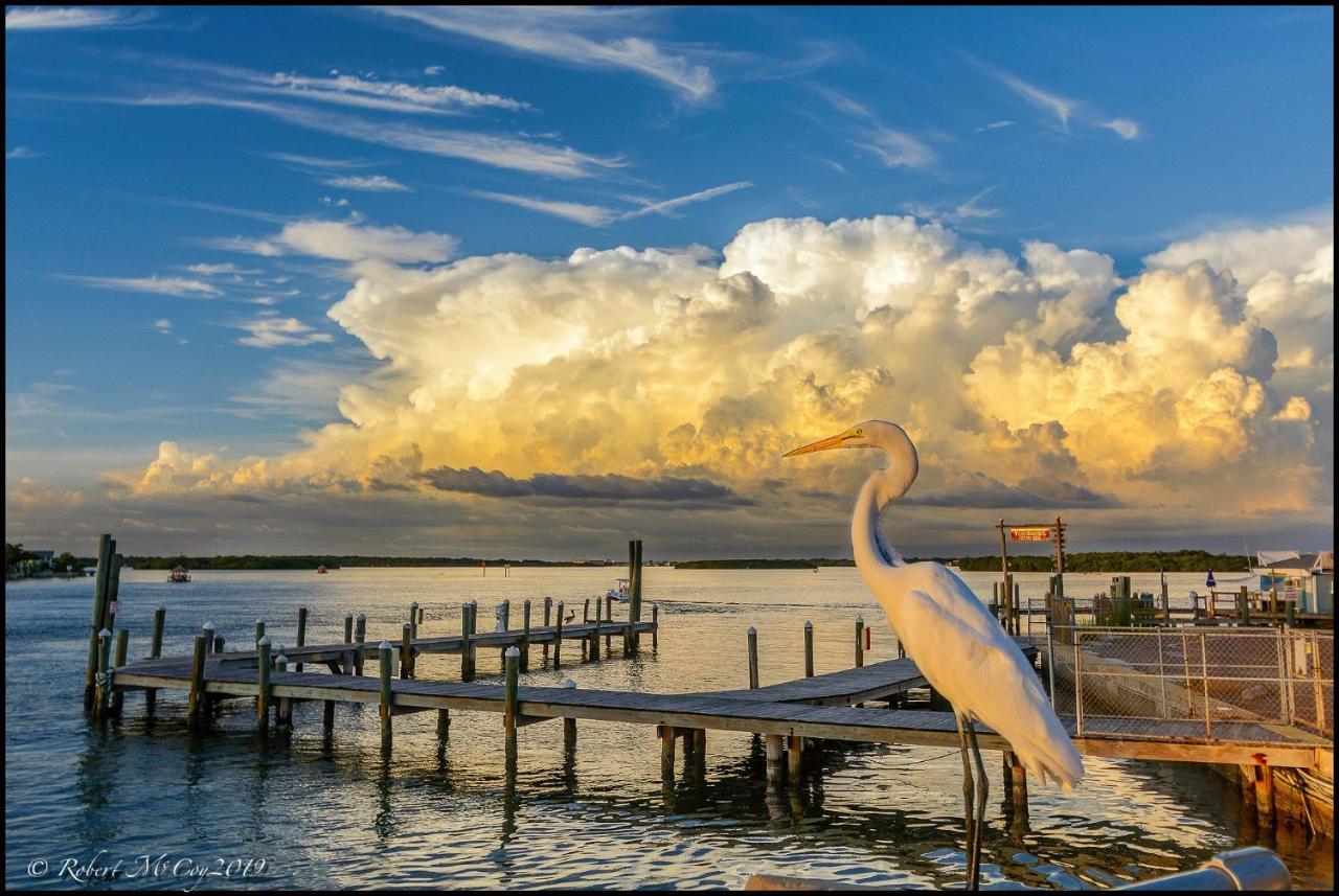 Affordable Beach Condos - One Bedroom Dlx Condos St. Pete Beach Buitenkant foto